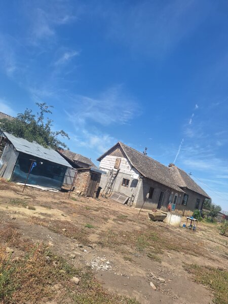 Judetul Dolj, Seaca de Camp, strada Viilor, Nr. 15